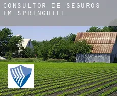 Consultor de seguros em  Springhill