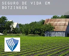 Seguro de vida em  Bötzingen