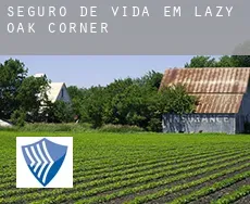 Seguro de vida em  Lazy Oak Corner