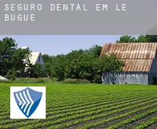 Seguro dental em Le Bugue