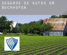 Seguros de autos em  Buchhofen