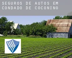 Seguros de autos em  Condado de Coconino