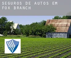 Seguros de autos em  Fox Branch