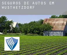 Seguros de autos em  Wüsthetzdorf