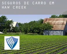 Seguros de carro em  Haw Creek