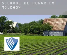 Seguros de hogar em  Molchow