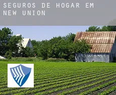 Seguros de hogar em  New Union