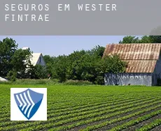 Seguros em  Wester Fintrae