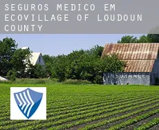 Seguros médico em  EcoVillage of Loudoun County
