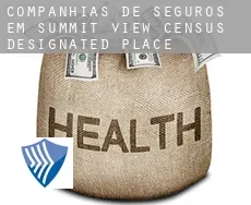Companhias de seguros em Summit View