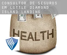 Consultor de seguros em  Little Diamond Island Landing