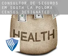 Consultor de seguros em  South La Poloma