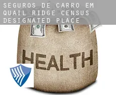 Seguros de carro em  Quail Ridge