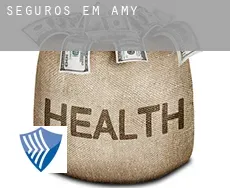 Seguros em  Amy