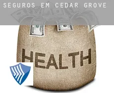 Seguros em  Cedar Grove