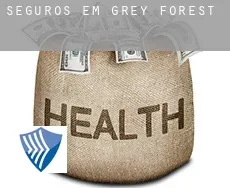 Seguros em  Grey Forest