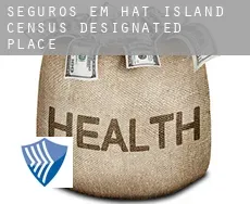 Seguros em  Hat Island