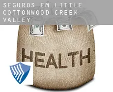 Seguros em  Little Cottonwood Creek Valley