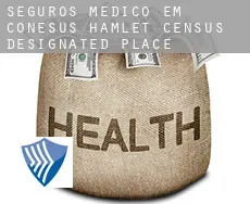 Seguros médico em  Conesus Hamlet