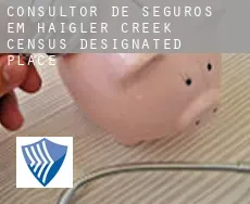Consultor de seguros em  Haigler Creek