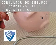 Consultor de seguros em  Pasadena Hills