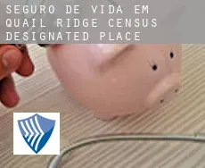 Seguro de vida em  Quail Ridge