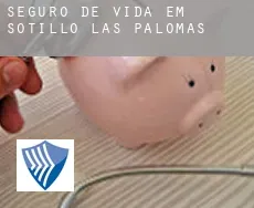 Seguro de vida em  Sotillo de las Palomas