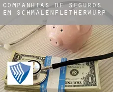 Companhias de seguros em  Schmalenfletherwurp