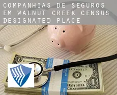 Companhias de seguros em  Walnut Creek