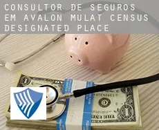 Consultor de seguros em  Avalon Mulat