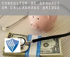 Consultor de seguros em  Callaghan’s Bridge