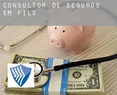 Consultor de seguros em  Fils