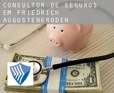 Consultor de seguros em  Friedrich Augustengroden