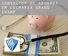 Consultor de seguros em  Locmaria-Grand-Champ