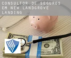 Consultor de seguros em  New Landgrove Landing