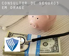 Consultor de seguros em  Orage