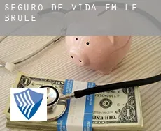 Seguro de vida em  Le Brûlé