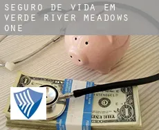 Seguro de vida em  Verde River Meadows One