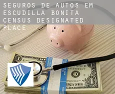 Seguros de autos em  Escudilla Bonita
