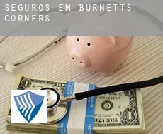 Seguros em  Burnetts Corners