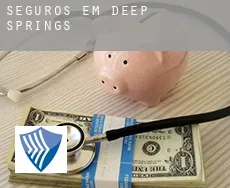 Seguros em  Deep Springs