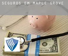 Seguros em  Maple Grove