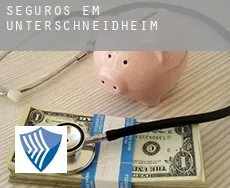 Seguros em  Unterschneidheim