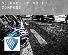 Seguros em  North Commons