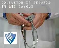 Consultor de seguros em  Les Cayols