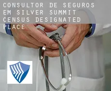 Consultor de seguros em  Silver Summit