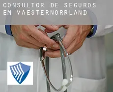 Consultor de seguros em  Västernorrland