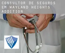 Consultor de seguros em  Wayland Heights Addition