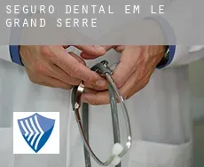 Seguro dental em  Le Grand-Serre