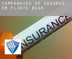 Companhias de seguros em Flints Bush